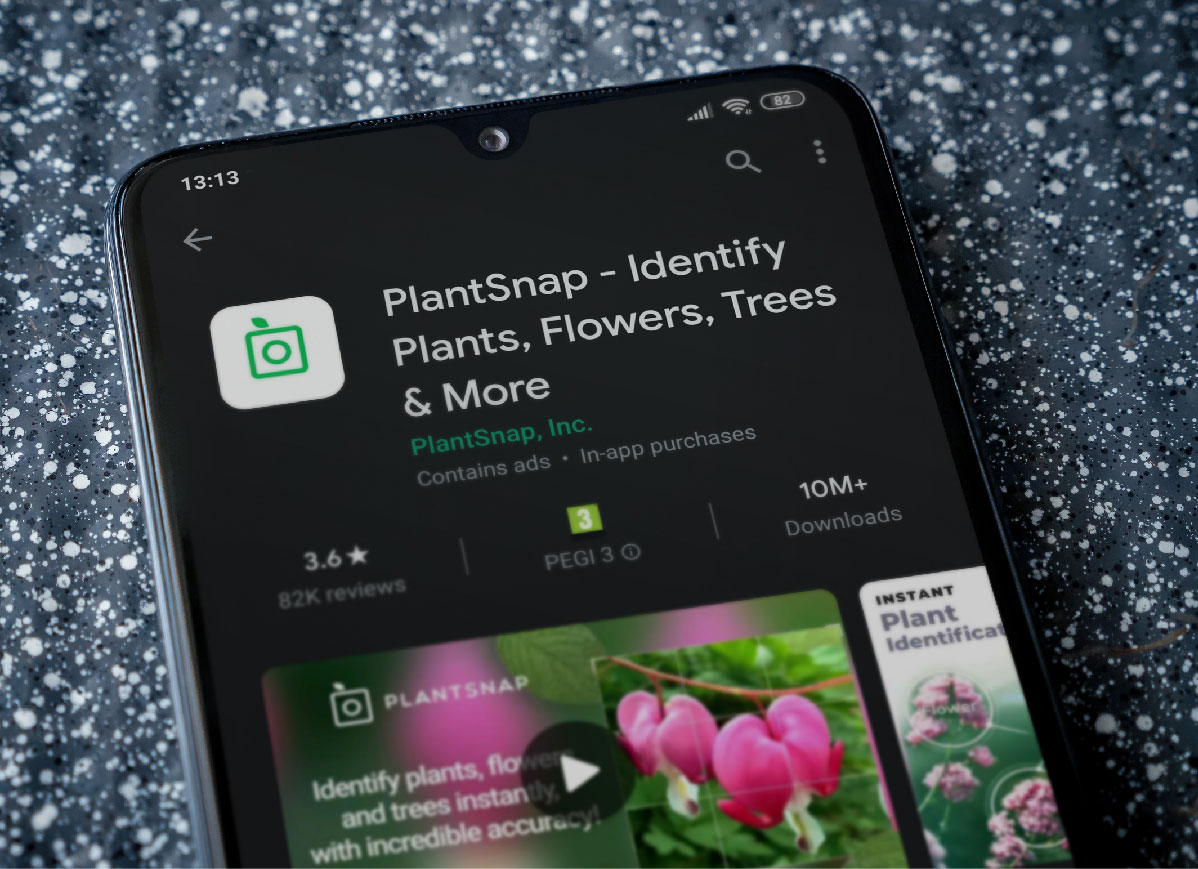 Camellia biodiversity watch data capture